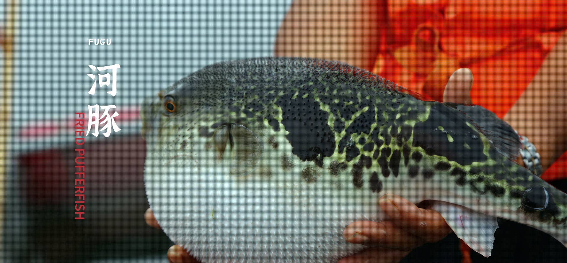 �������֡�(�й���)���޹�˾����